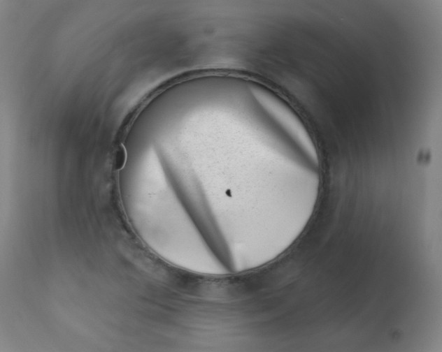 X0000113001364200909171356