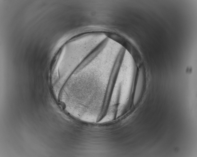 X0000113001365200909171356