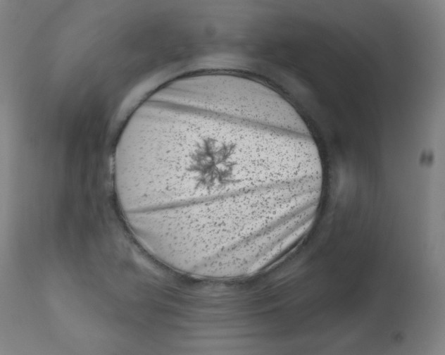 X0000113001366200909171356