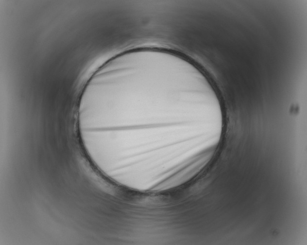 X0000113001367200909171356