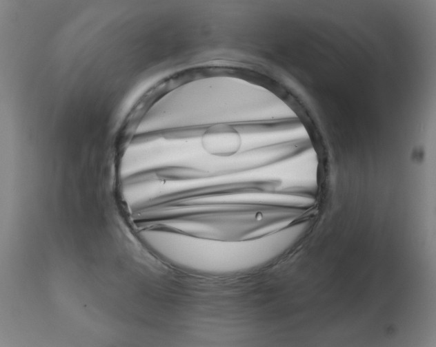 X0000113001368200909171356