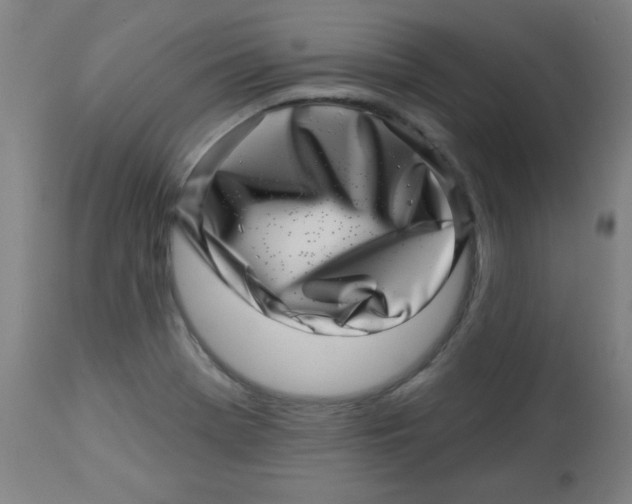 X0000113001369200909171356