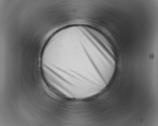 X0000113001372200909171356