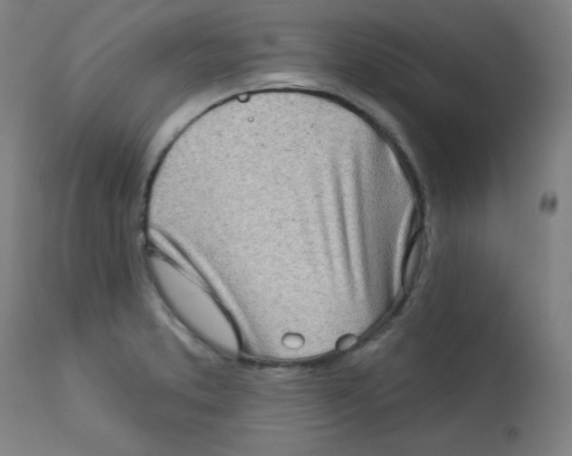 X0000113001373200909171356