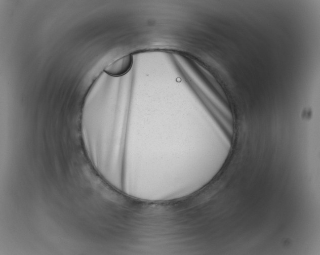 X0000113001374200909171356