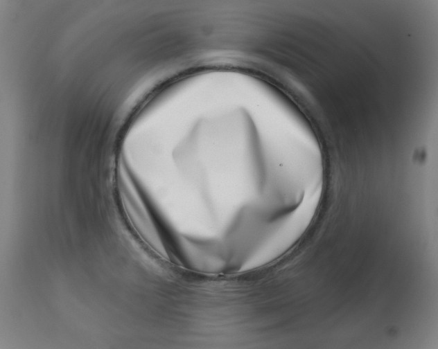 X0000113001376200909171356