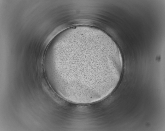 X0000113001378200909171356