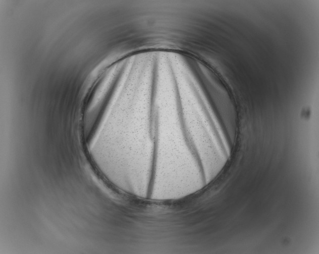 X0000113001379200909171356