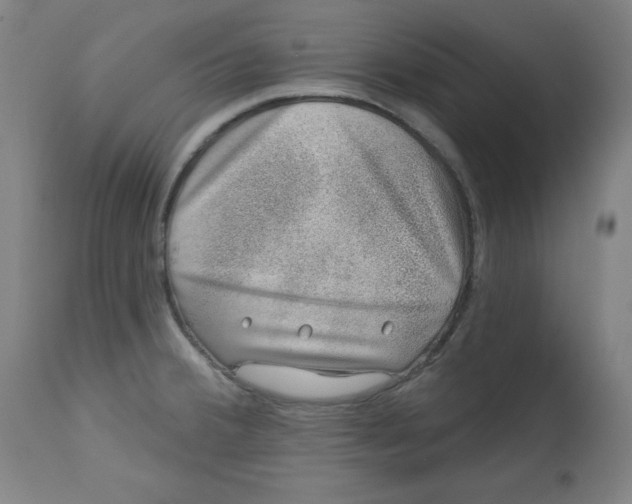 X0000113001380200909171356