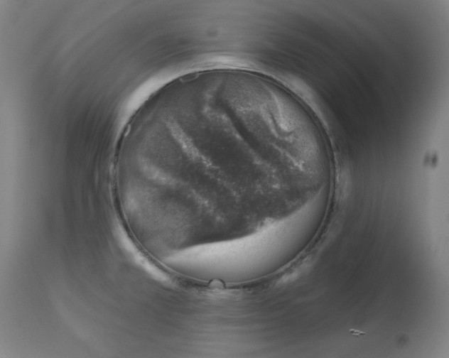 X0000113001381200909171356