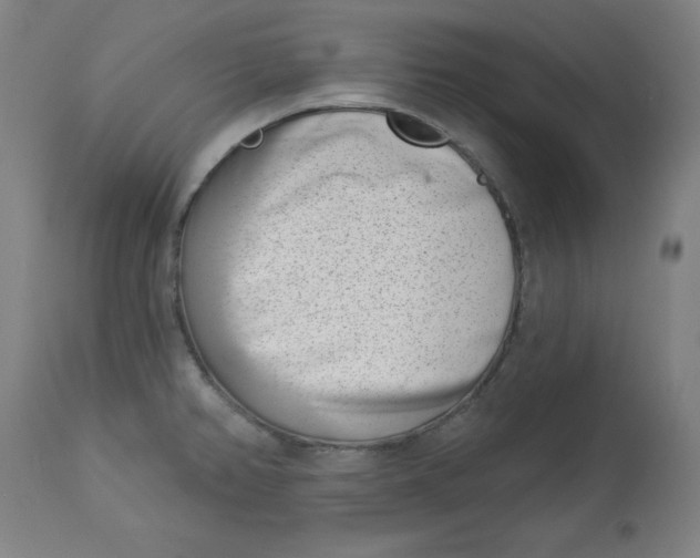 X0000113001382200909171355