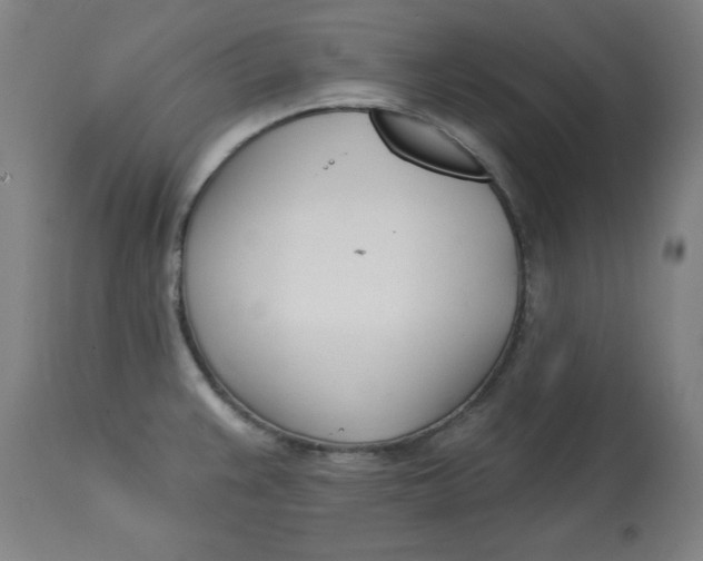 X0000113001383200909171355