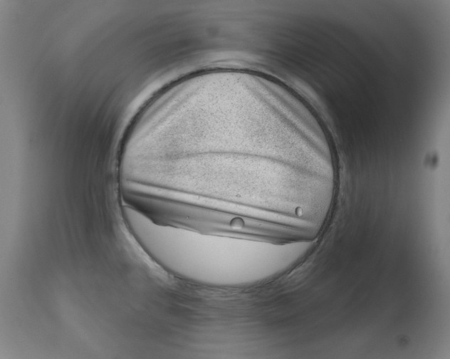 X0000113001384200909171355