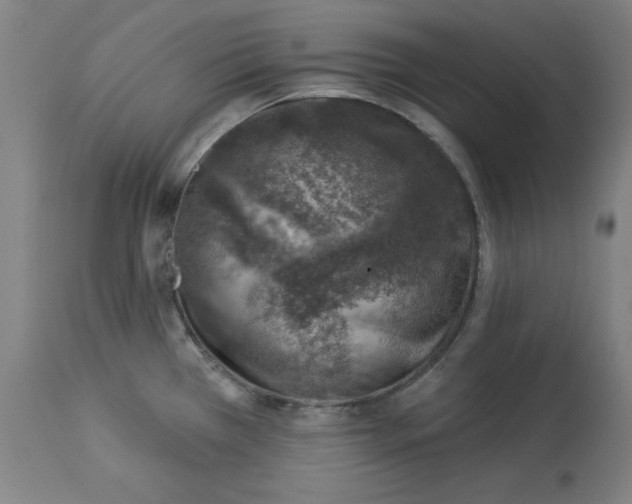 X0000113001385200909171355