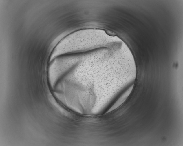 X0000113001387200909171355