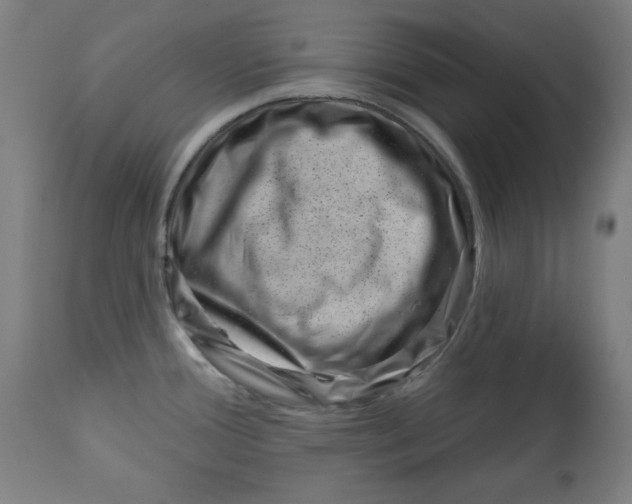 X0000113001388200909171355