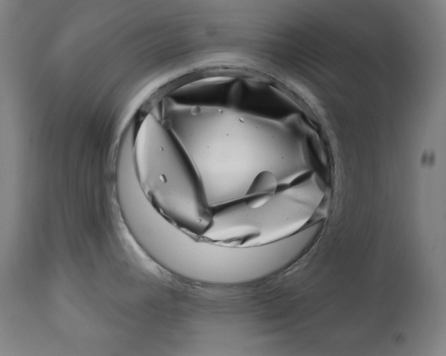 X0000113001392200909171355