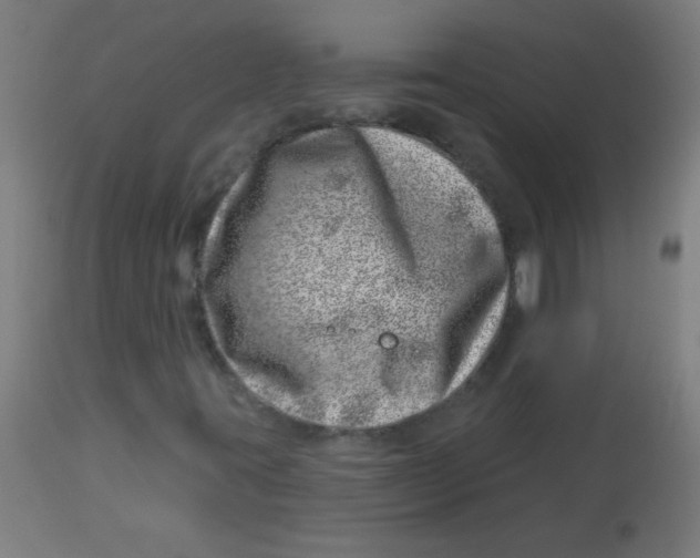 X0000113001395200909171355