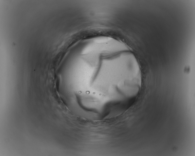 X0000113001397200909171355