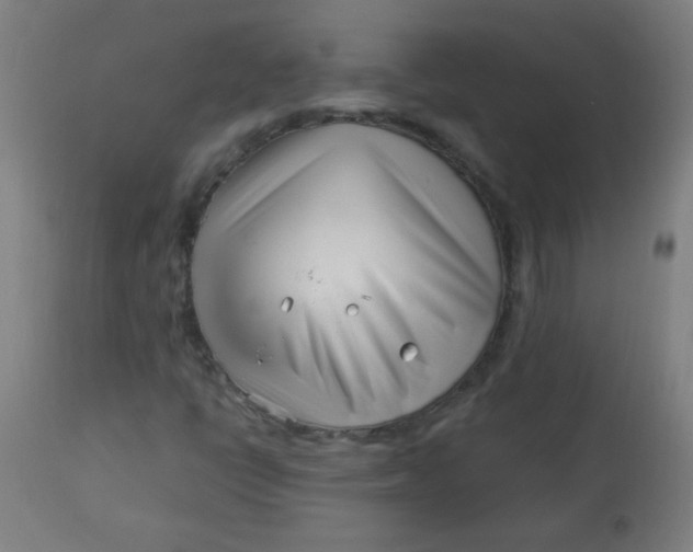 X0000113001398200909171355