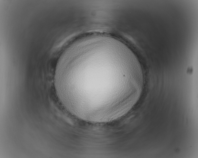 X0000113001399200909171355