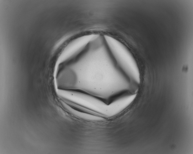 X0000113001400200909171355