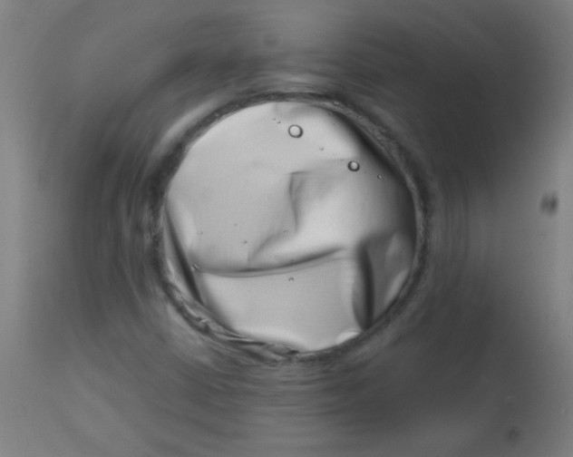 X0000113001402200909171355