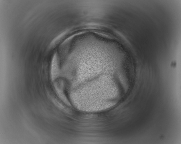 X0000113001403200909171355