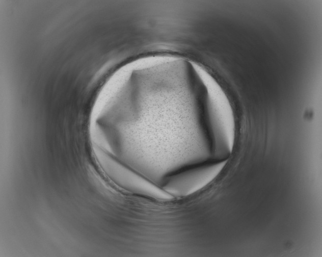 X0000113001404200909171355