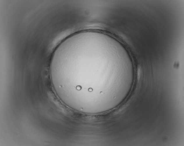 X0000113001405200909171355