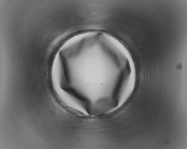 X0000113001406200909171355