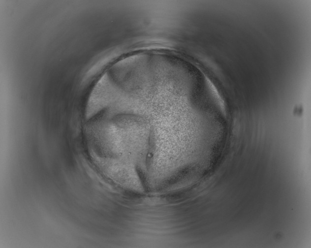 X0000113001407200909171355