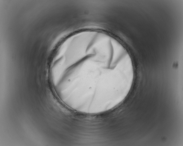 X0000113001408200909171355