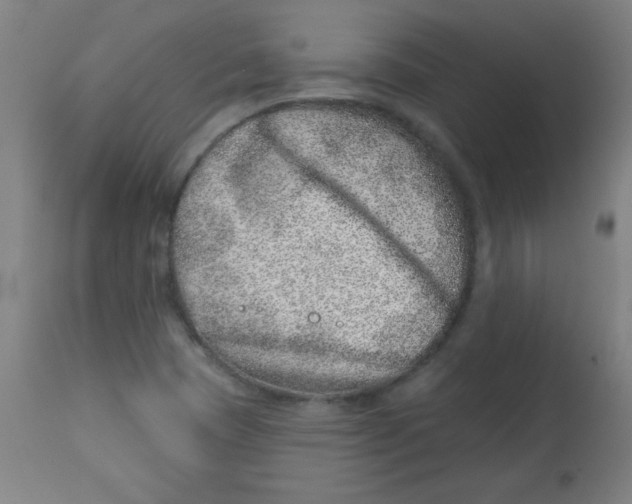 X0000113001409200909171355