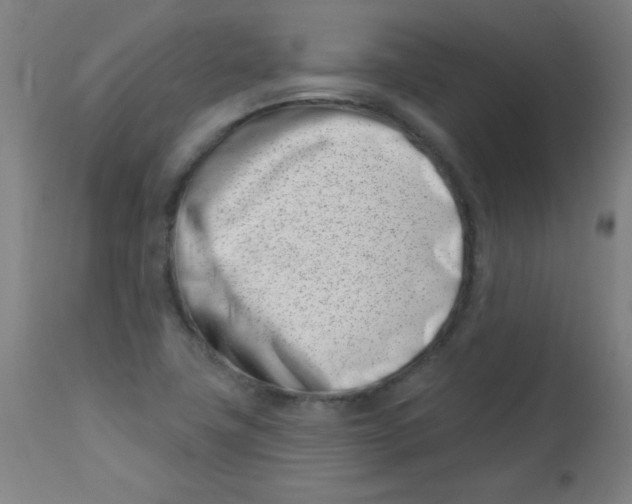 X0000113001411200909171355