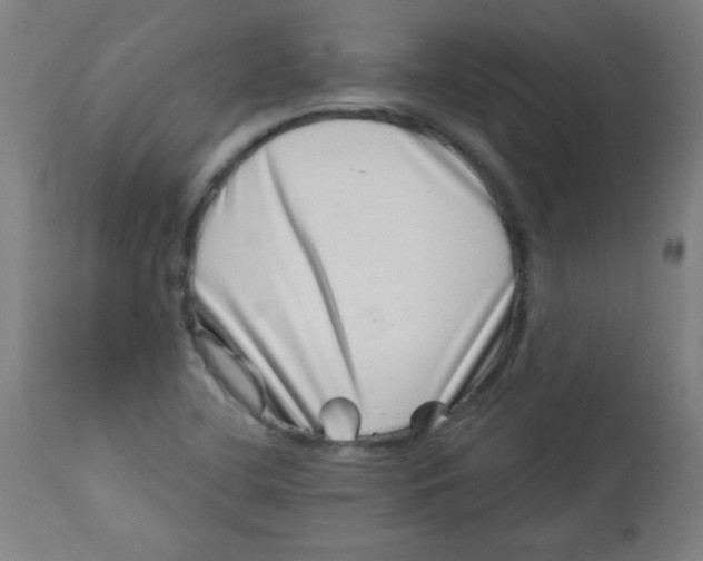 X0000113001412200909171355