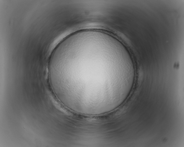 X0000113001413200909171355