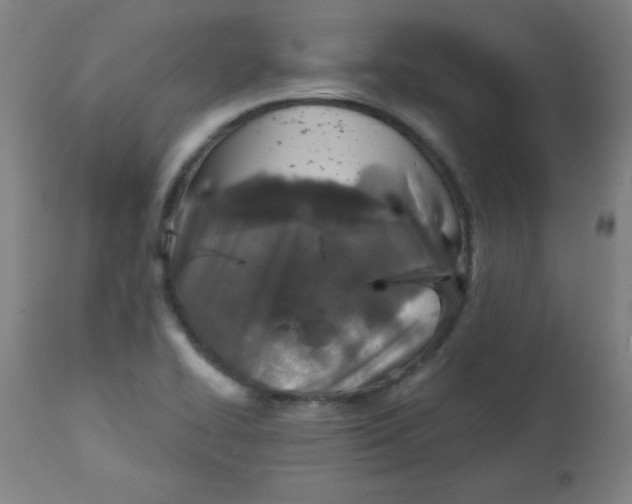 X0000113001414200909171355