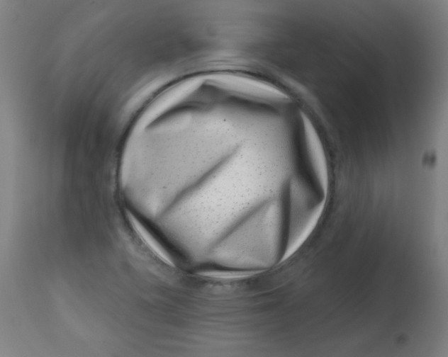 X0000113001415200909171355