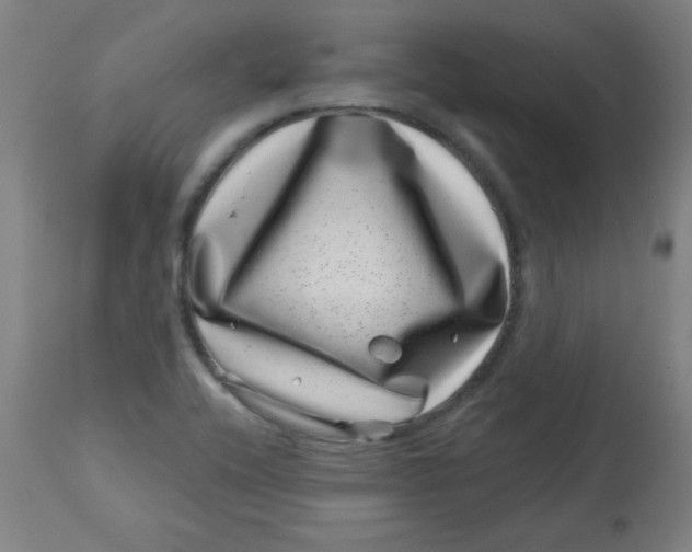 X0000113001416200909171355