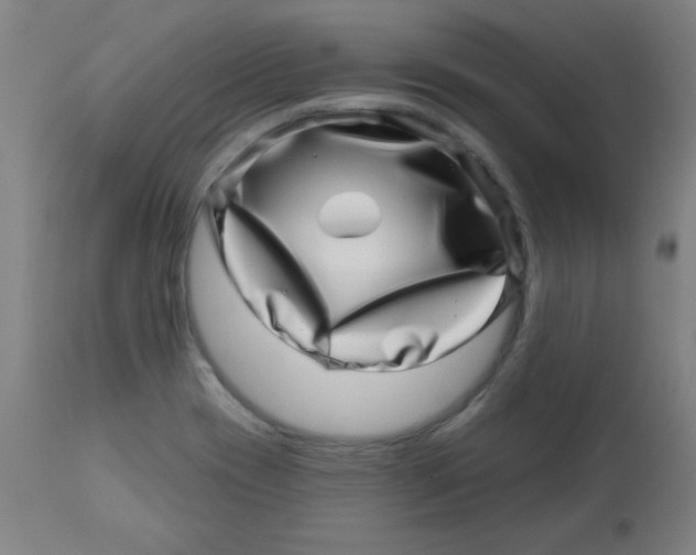 X0000113001417200909171355