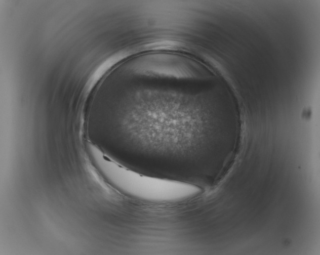 X0000113001418200909171355