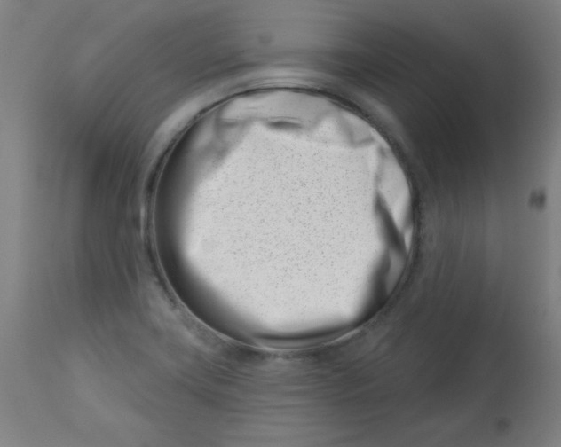 X0000113001419200909171355