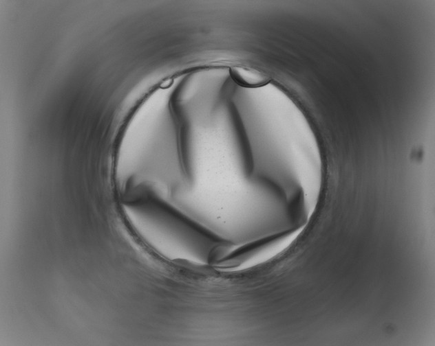 X0000113001424200909171355