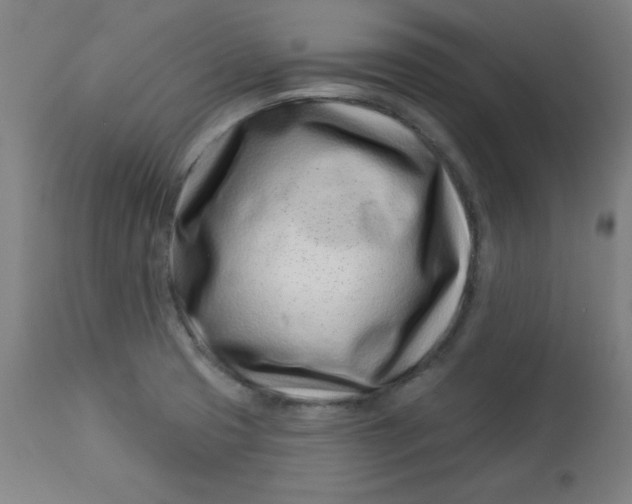 X0000113001425200909171355