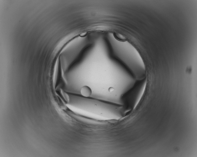 X0000113001426200909171355