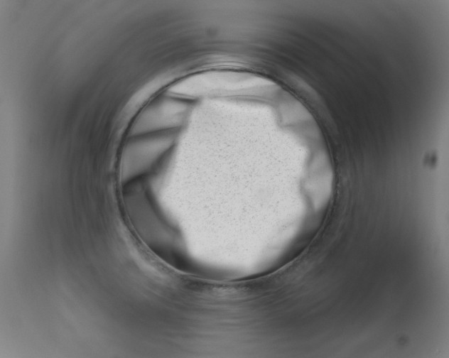 X0000113001427200909171355