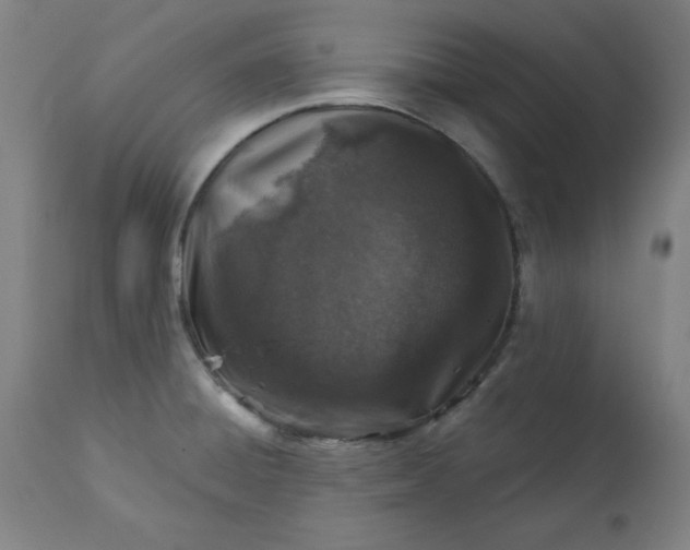 X0000113001428200909171355