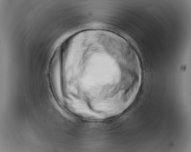 X0000113001429200909171355