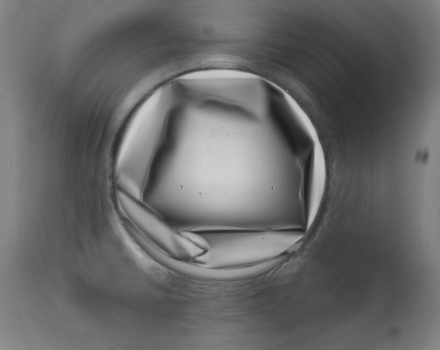 X0000113001430200909171355